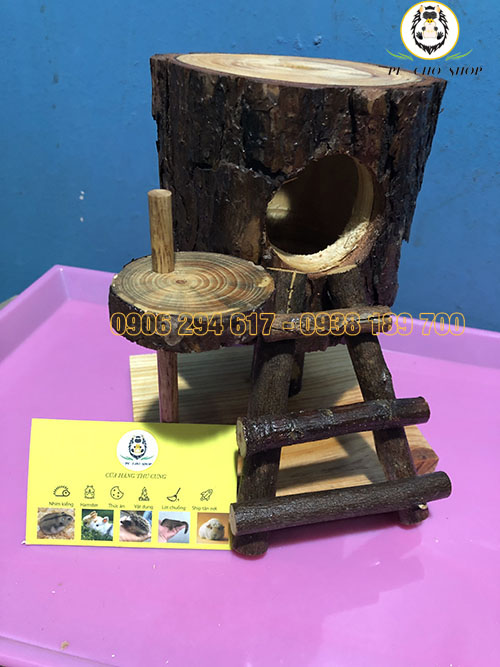 CHIM GÕ KIẾN
